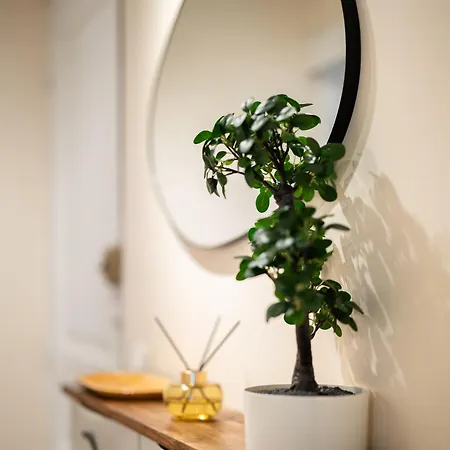 Apartment Dream Proximite Paris & Disneyland *